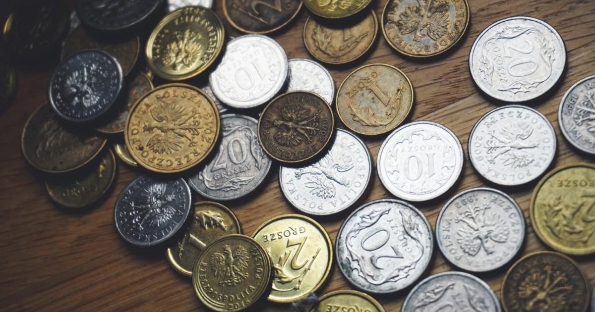 Cash Flow Basics Every Freelancer Should Know